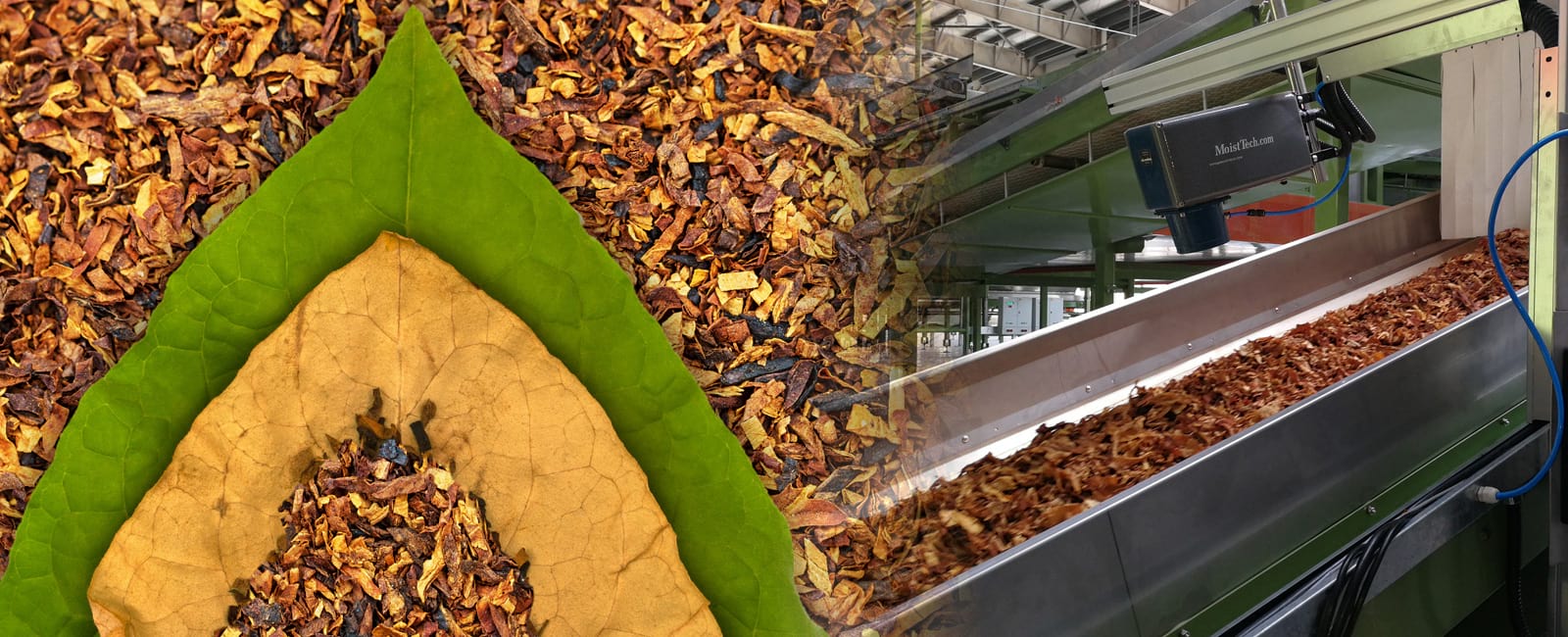 #Tobacco Moisture Application
