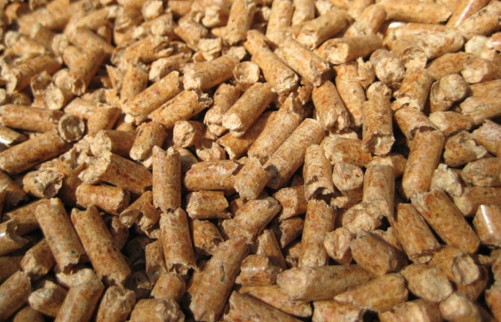 citrus pellets image