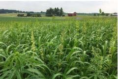 hemp applications image moisttech corp