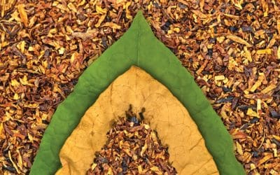 Looking to Cut Costs? Look to Moisture Control in Tobacco Processing