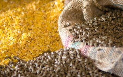 The Benefits of Animal Feed Moisture Control