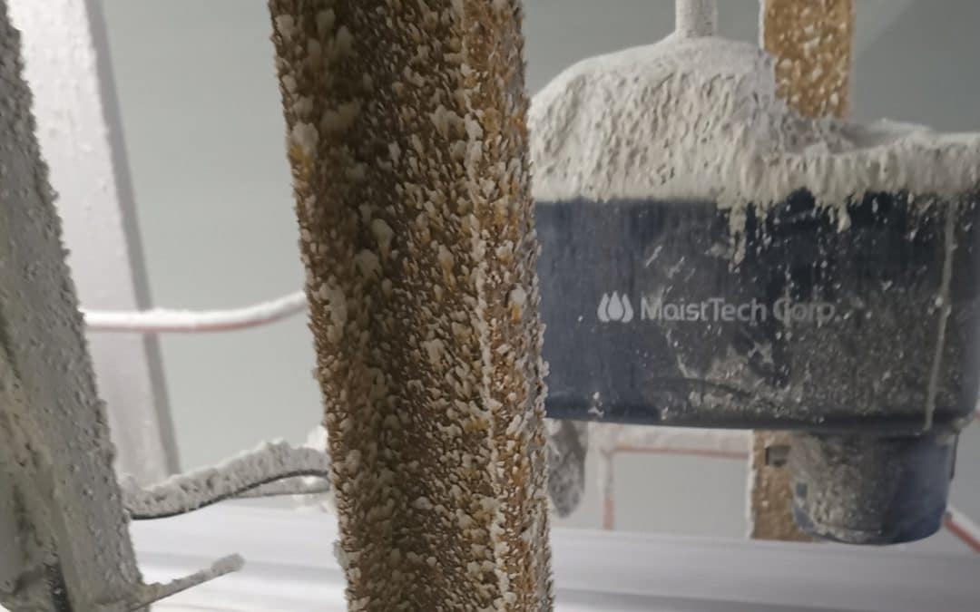 Moisture Measurement in Hydrated Lime