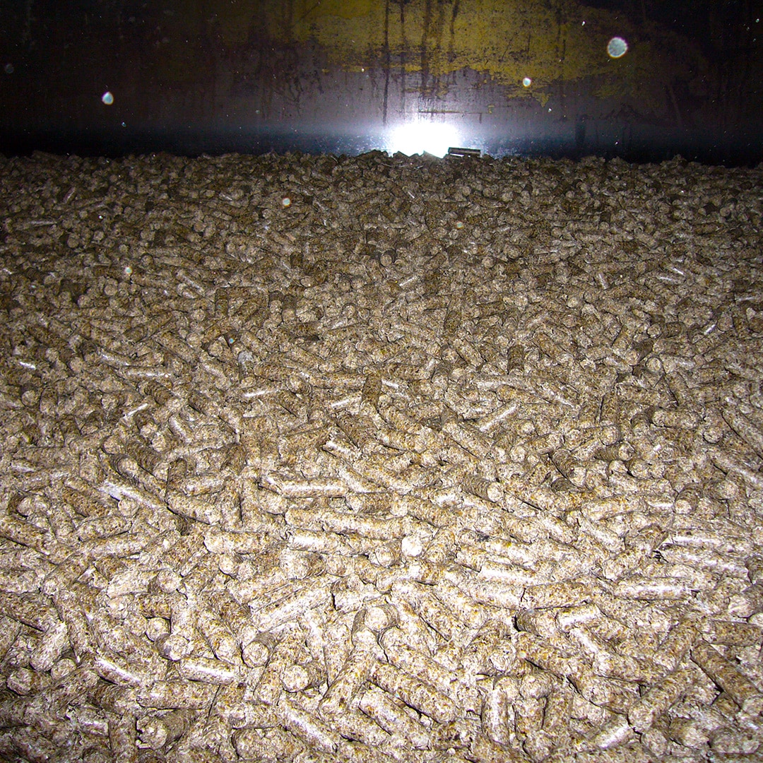 MoistTech sensor above wood chips