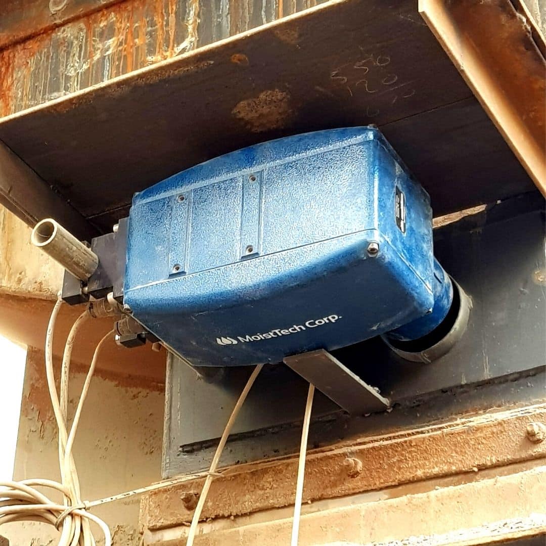 MoistTech sensor above wood chips