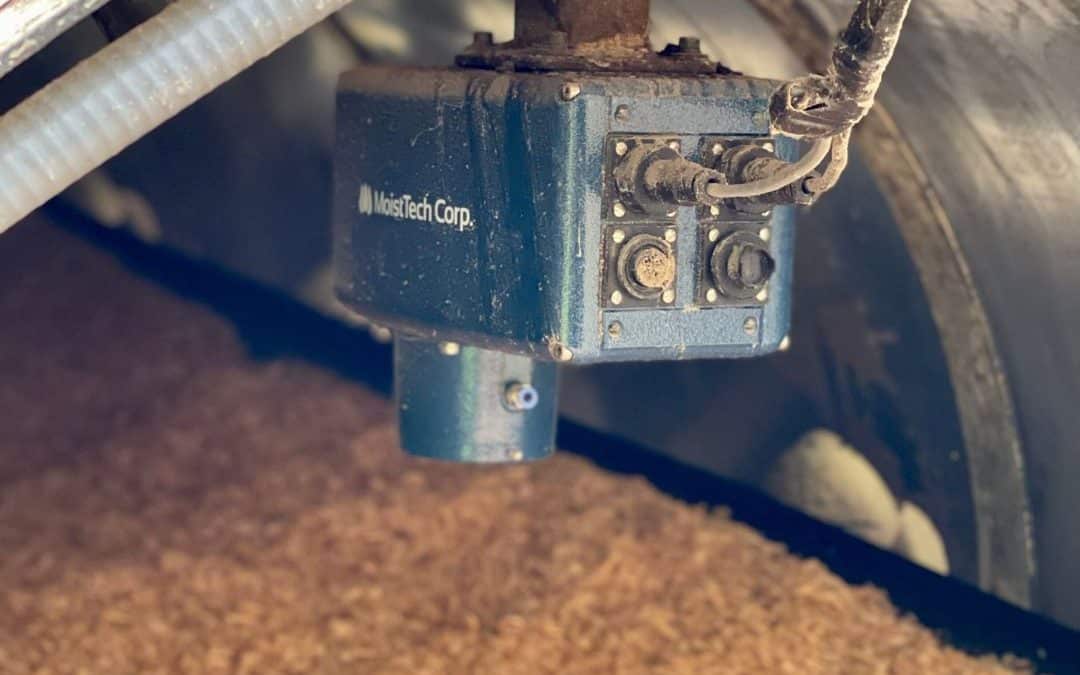 Wood and Biomass Moisture: 4 Ways to Increase Plant Efficiency
