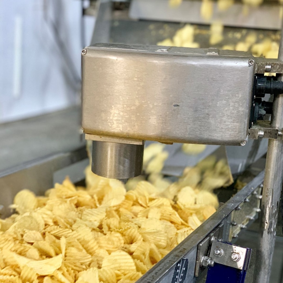 #potato chips on a conveyer belt