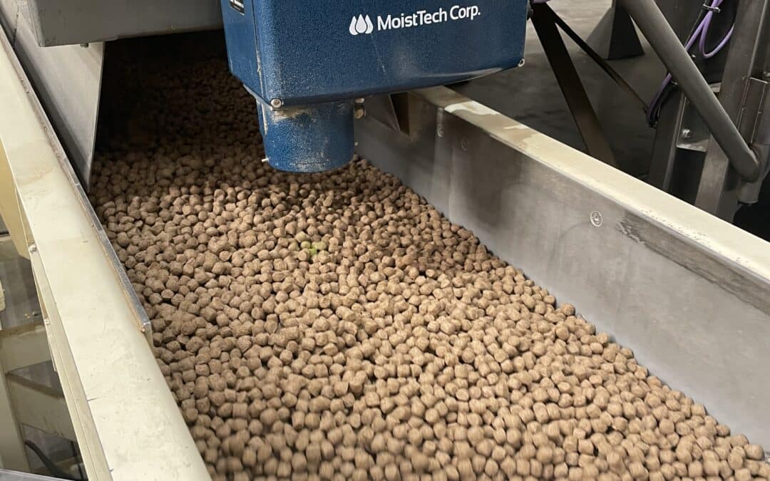 Revolutionizing Pet Food Production