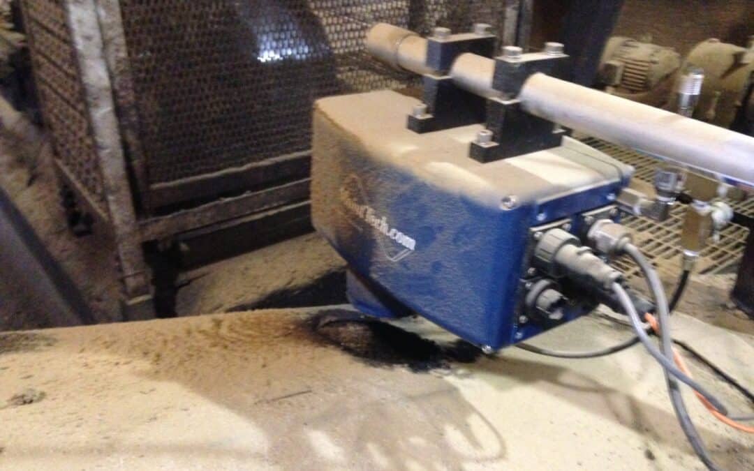 Enhancing DDG Production Efficiency with MoistTech