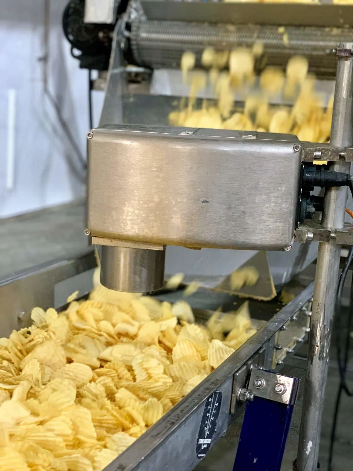 Potato chips cascading from a metal chute into a receiving tray in a snack production line