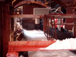 Pile of white Dead Sea salt crystals on a light surface