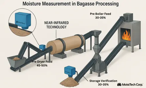Bagasse processing process