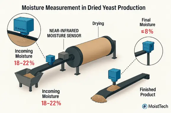 Dried yeast production process