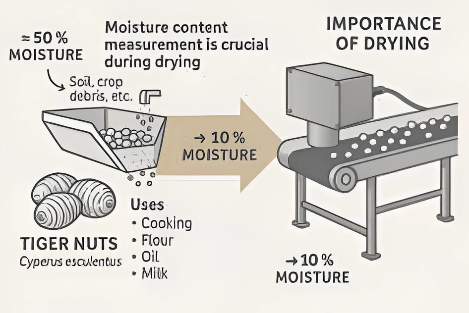 Tiger nuts production process