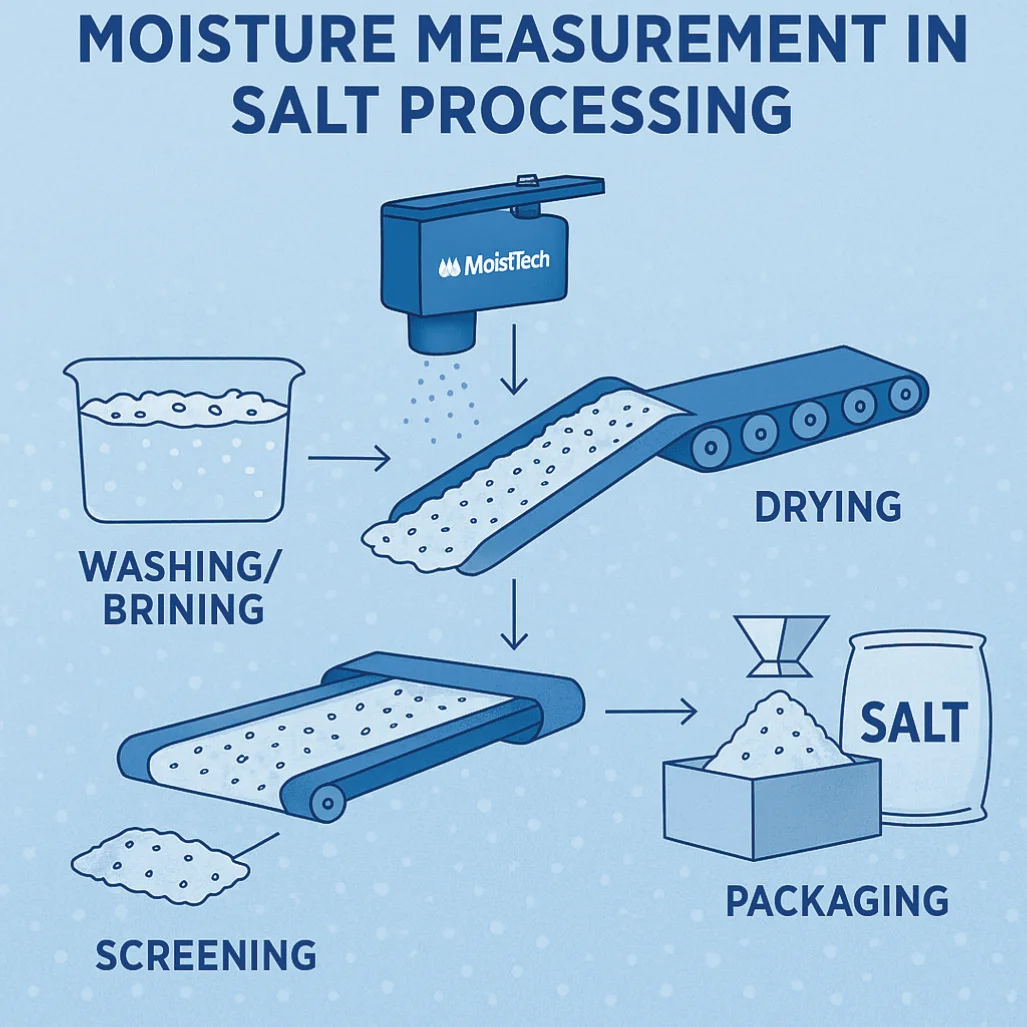 Moisture Measurement in Salt Processing Diagram