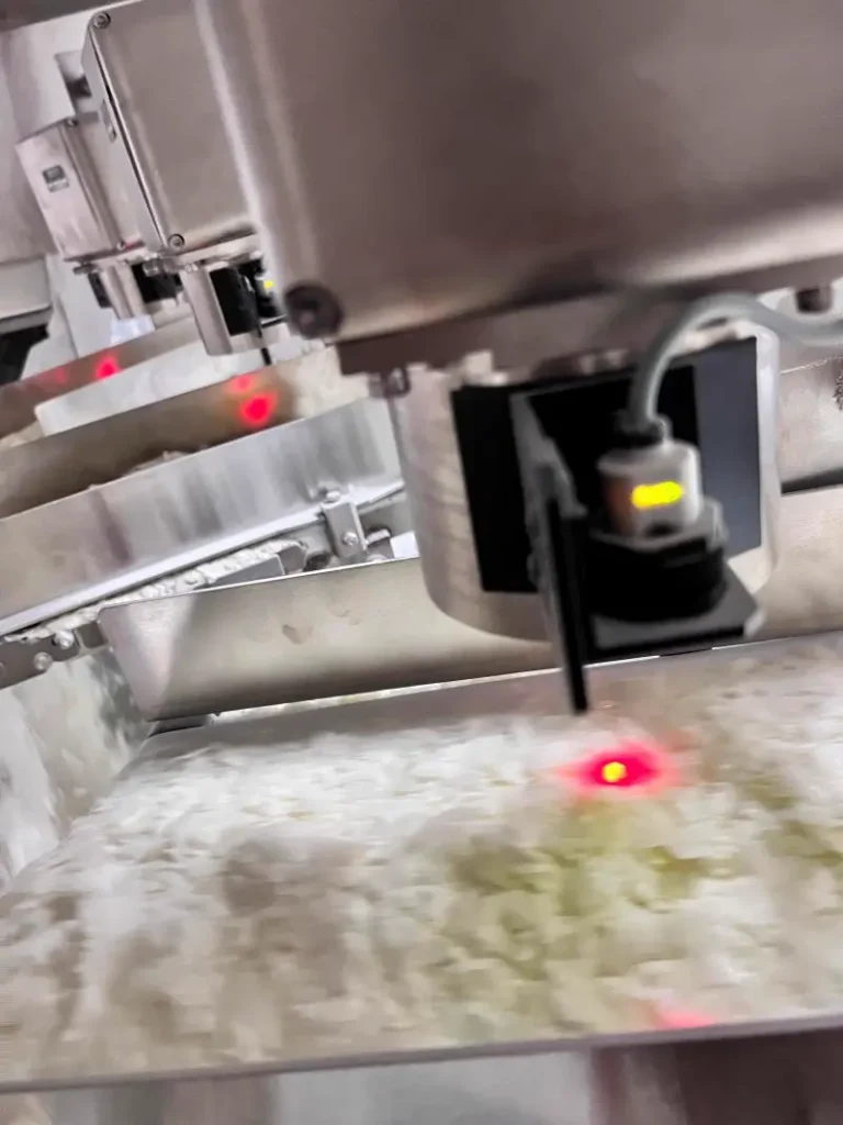 potato flakes process